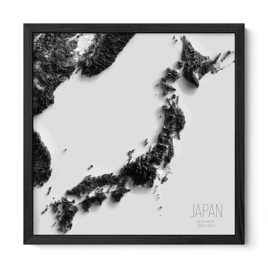 JAPAN | SHADED BLACK AND WHITE