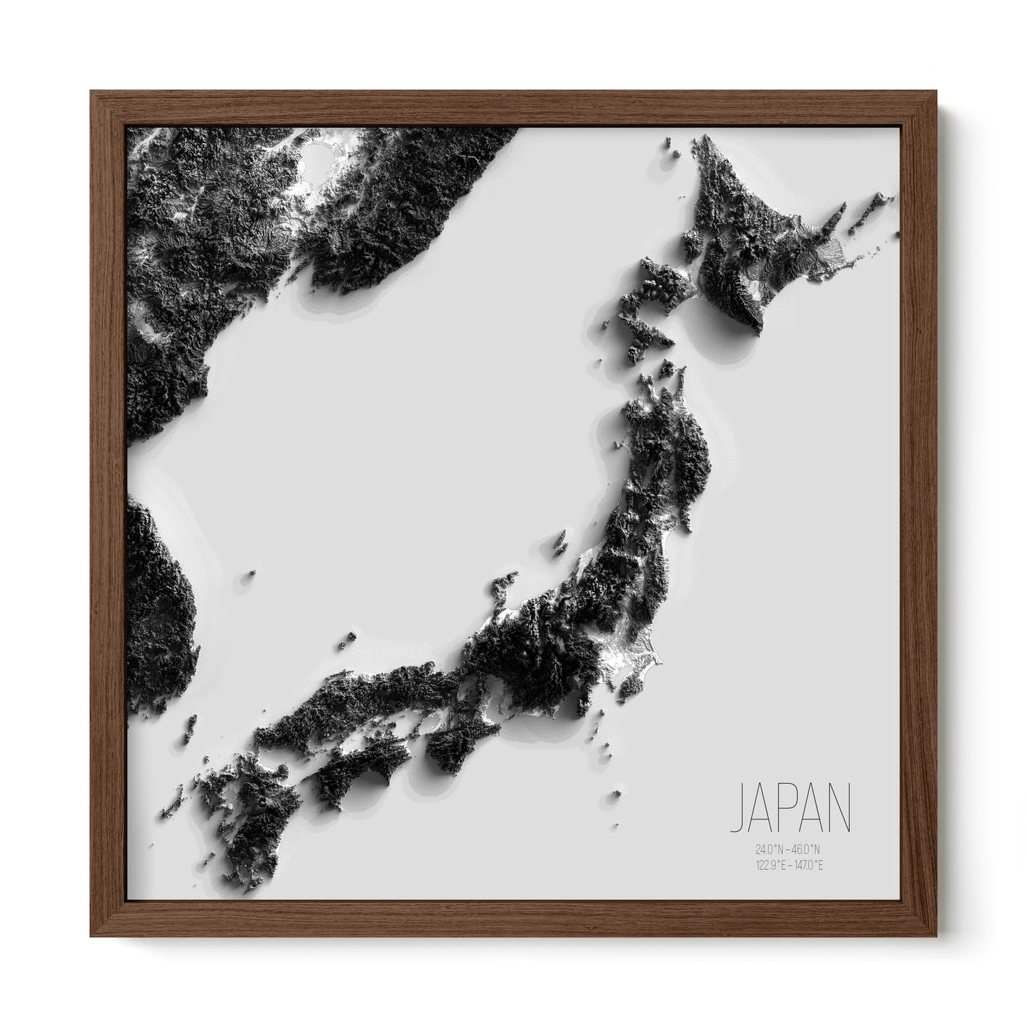 JAPAN | SHADED BLACK AND WHITE