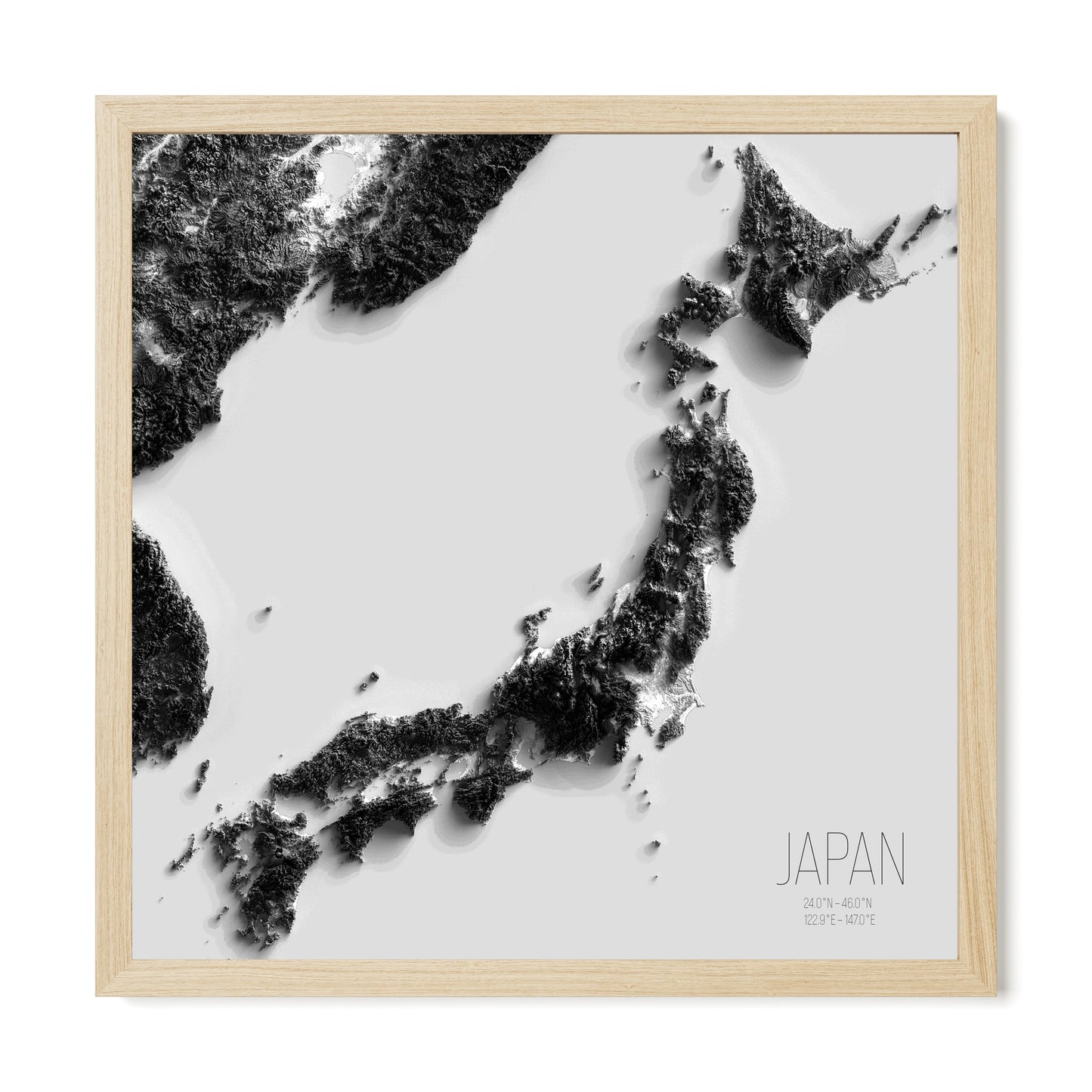 JAPAN | SHADED BLACK AND WHITE